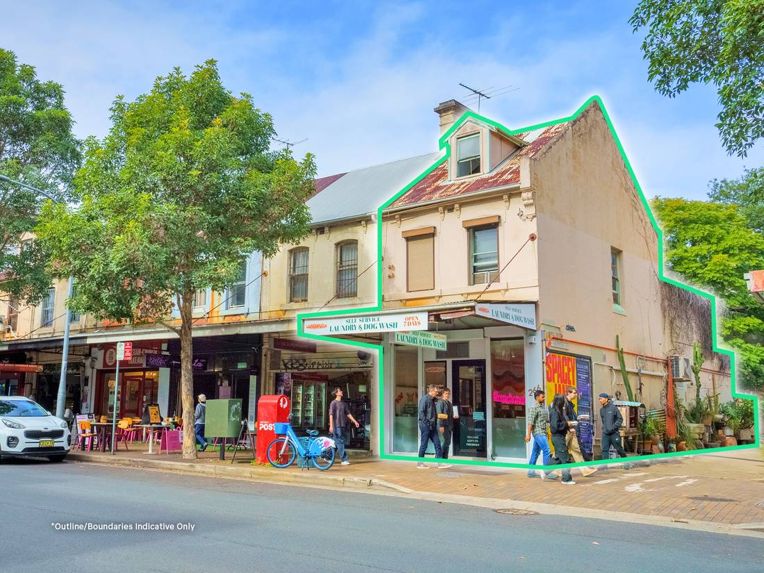 266 Abercrombie Street, Darlington NSW 2008